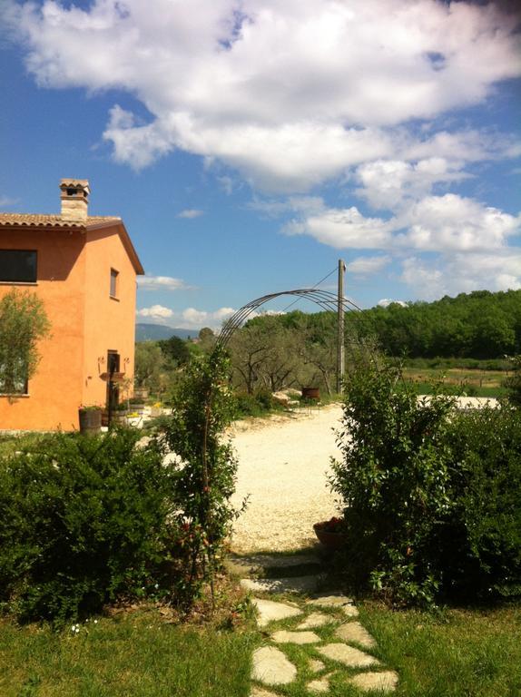 Fattoria Del Quondam Villa Giano dell'Umbria ภายนอก รูปภาพ