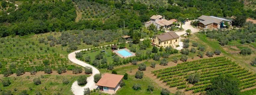 Fattoria Del Quondam Villa Giano dell'Umbria ภายนอก รูปภาพ